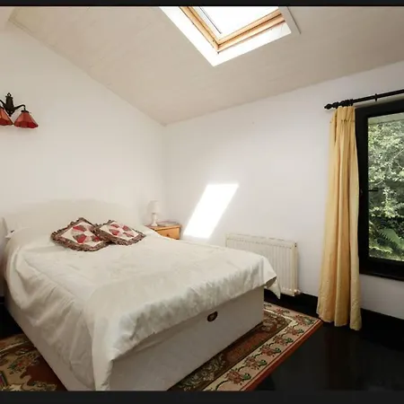 Feriehus Remarkable Remote 3-Bed Cottage In Ahakista Durrus